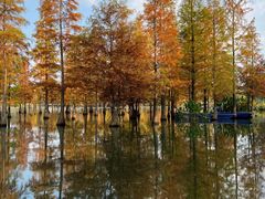 -白鹭湾湿地公园