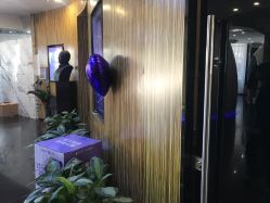 -比华利美容医院