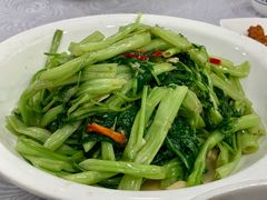 蒜蓉空心菜-粤·向群饭店(龙津东路总店)