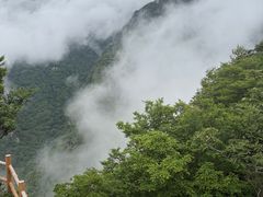-牛背梁国家森林公园