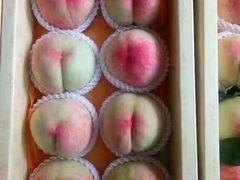 -老袁家蜜桃农场·阳山水蜜桃