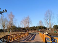 -东郊湿地公园