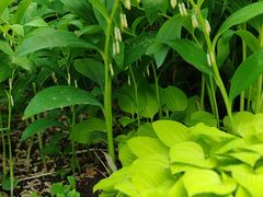 -国家植物园南园