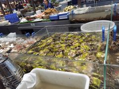 -半岛听涛蒸汽海鲜自助(K11店)
