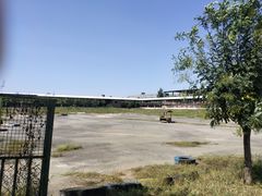 -北京鹿世界主题园
