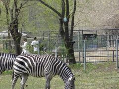 -哈尔滨北方森林动物园