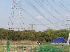 -广富林郊野公园