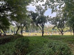 -东风公园