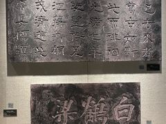 -白鹤梁水下博物馆