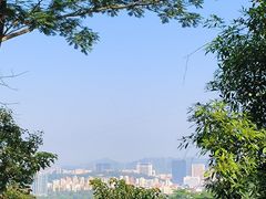 -阳台山森林公园