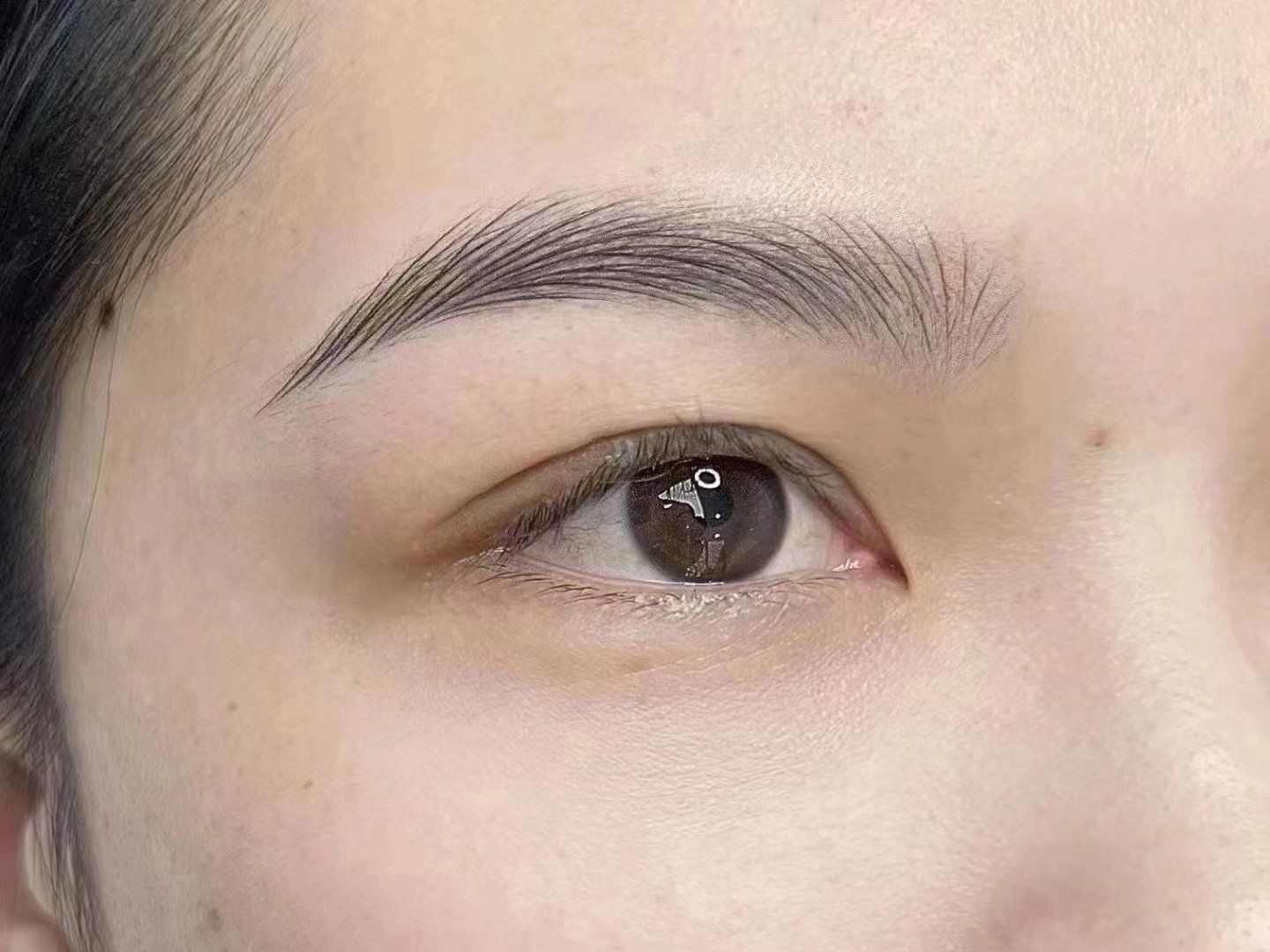 ᵏ
只有两个结果,好看又好运
#野生眉画法 #线条眉 #浅色眉毛