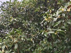 -钟山体育运动公园