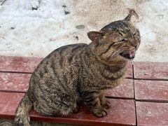 -终南山南五台景区