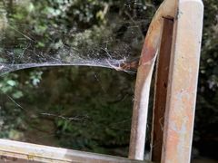 -怀托摩萤火虫洞