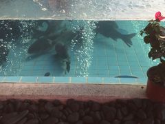 -力力渔港涉外店