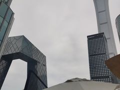 -识酒猫 x SNAP(国贸商城店)