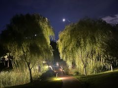 -滨湖塘西河公园