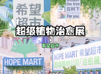 广州首家超级植物治愈展为你打包一份春天
