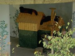 -青藏高原野生动物园