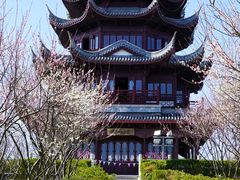 -上海海湾国家森林公园