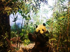 -陕西自然博物馆