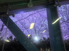 -虹口龙之梦购物中心·停车场