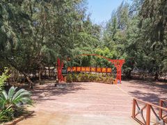 -北海金海湾红树林生态旅游区