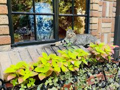 -马勒别墅·中餐厅