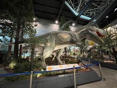 -湖南省地质博物馆