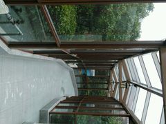 -金孔雀温泉旅游度假村