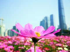 -海心沙亚运公园