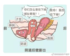 -邢台妇产医院