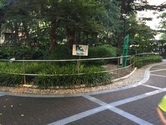 华山儿童公园-华山儿童公园