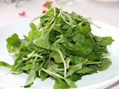 -黔府豆米火锅野菜馆(南马店)