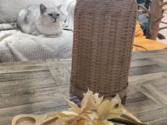 -小时光咖啡馆(开森度假森林店)