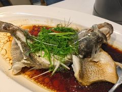 -院里寻菜·精致庭院菜(观沙岭店)