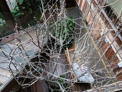 -渔太泰漓江小馆·广西融合菜(西街店)