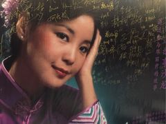 邓丽君音乐主题餐厅(台湾街店)-邓丽君音乐主题餐厅