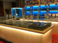 -中国饭店-餐厅