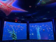 -沈阳海洋探索中心