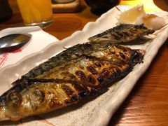 盐烤青花鱼-鳗鱼家·深夜食堂(军博店)