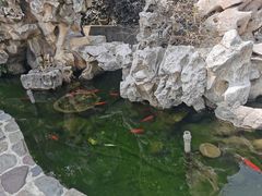 -呼吸森林·生态农庄农家乐私房菜