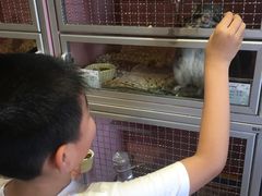 -藦茜花园宠物主题亲子互动体验馆(国顺东路店)