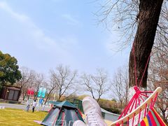 -九里河湿地公园