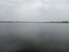 -鹅湖玫瑰文化园
