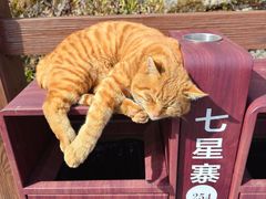 -恩施大峡谷