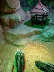 -酷嗒动物文化乐园(cutezoo西溪乐天城店)