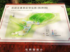 -铁山坪森林公园