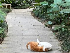 -深圳国际园林花卉博览园