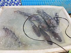 -水磨农庄
